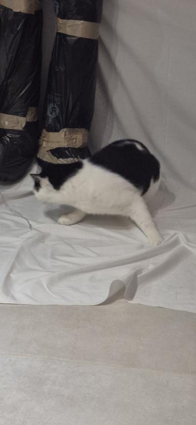 Bonne année 2026 les Supers Vilains