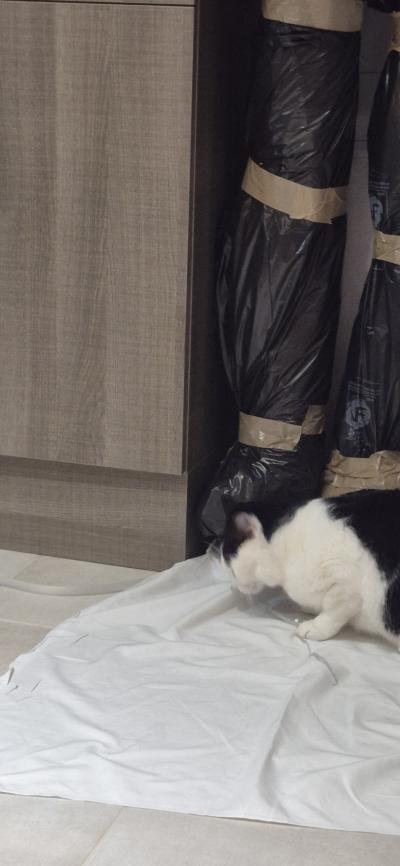 Bonne année 2026 les Supers Vilains