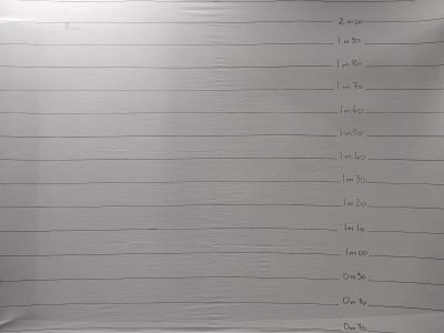 Les préparatifs de la soirée