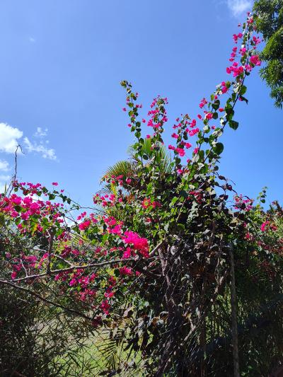 Jour 2 - Direction le nord de l'île