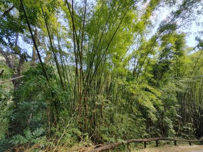 Jour 2 - Direction le nord de l'île