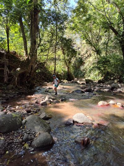 Jour 2 - Direction le nord de l'île