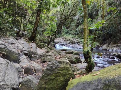 Jour 2 - Direction le nord de l'île