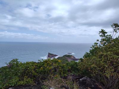 Jour 3 - Presqu'Île de la Caravelle