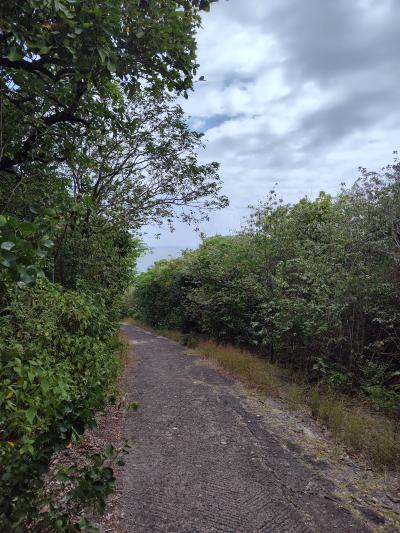 Jour 3 - Presqu'Île de la Caravelle