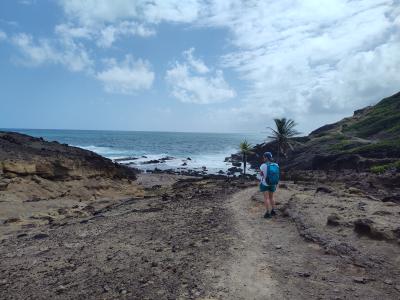 Jour 3 - Presqu'Île de la Caravelle