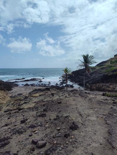Jour 3 - Presqu'Île de la Caravelle