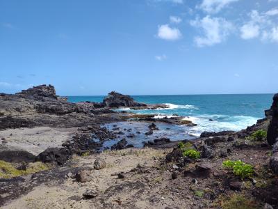 Jour 3 - Presqu'Île de la Caravelle