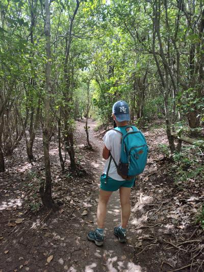 Jour 3 - Presqu'Île de la Caravelle