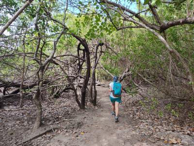 Jour 3 - Presqu'Île de la Caravelle