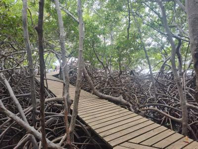 Jour 3 - Presqu'Île de la Caravelle