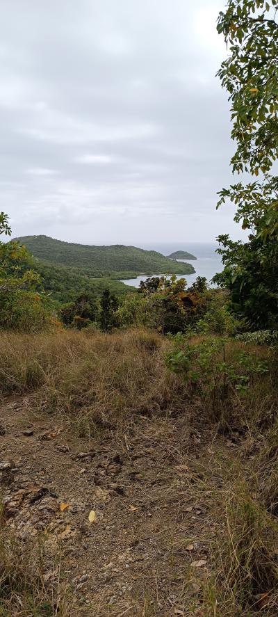 Jour 3 - Presqu'Île de la Caravelle