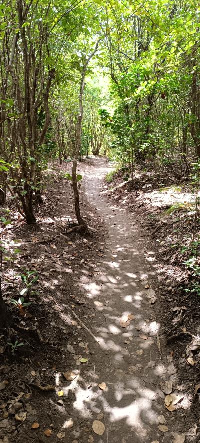 Jour 3 - Presqu'Île de la Caravelle