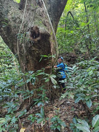 Jour 4 - Cascades, jardin et Vanille