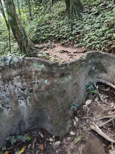 Jour 4 - Cascades, jardin et Vanille