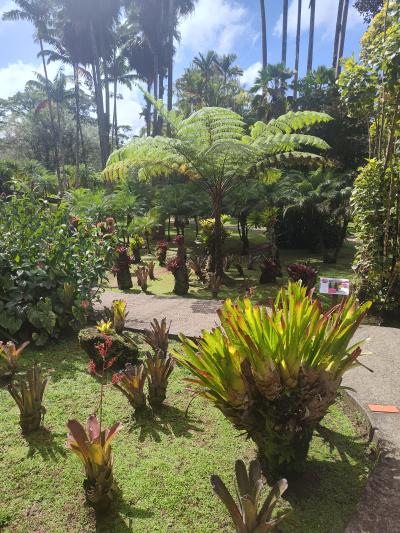 Jour 4 - Cascades, jardin et Vanille