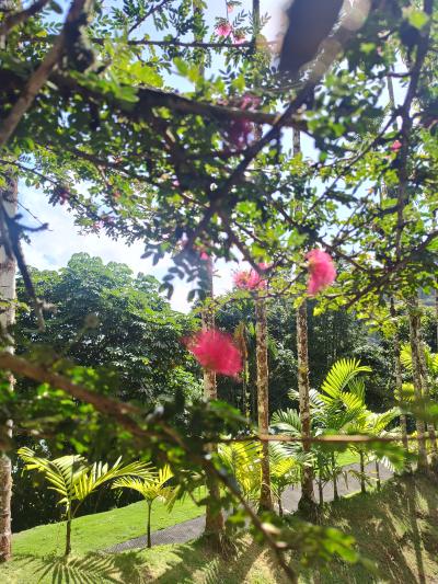 Jour 4 - Cascades, jardin et Vanille