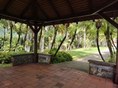 Jour 4 - Cascades, jardin et Vanille