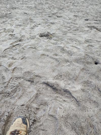 Jour 4 - Cascades, jardin et Vanille