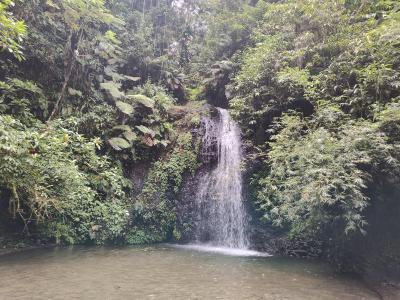 Jour 4 - Cascades, jardin et Vanille