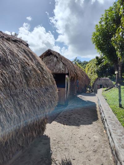 Jour 5 - La Savane des Esclaves