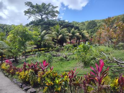 Jour 5 - La Savane des Esclaves