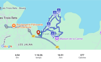 Jour 5 - Forêt de Vatable