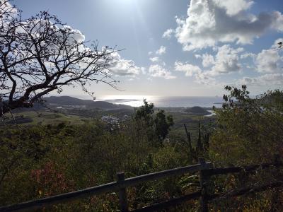 Jour 6 - Ascension du piton crève coeur
