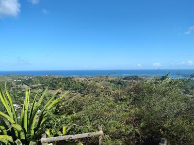 Jour 6 - Ascension du piton crève coeur