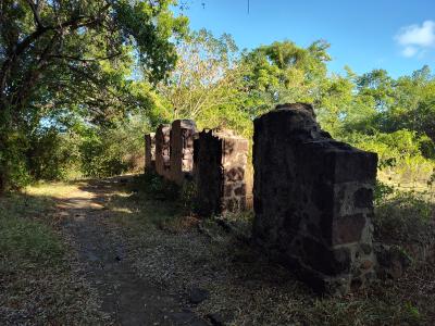 Jour 6 - Ascension du piton crève coeur