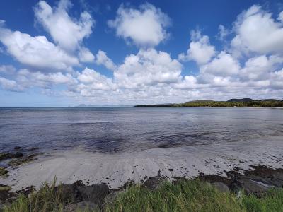 Jour 6 - La savane des Pétrifications