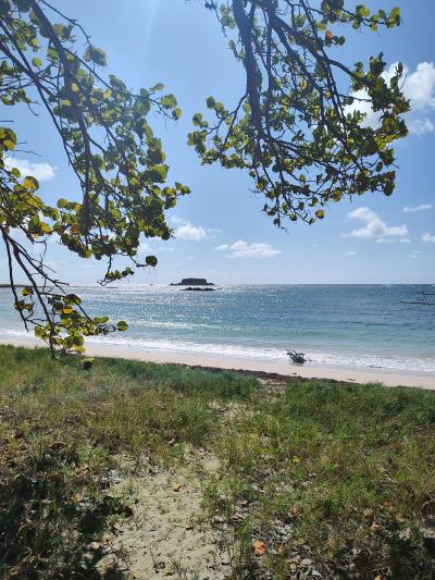 Jour 6 - La savane des Pétrifications