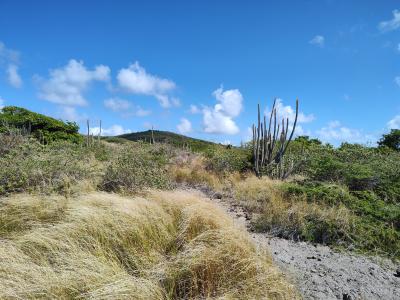 Jour 6 - La savane des Pétrifications