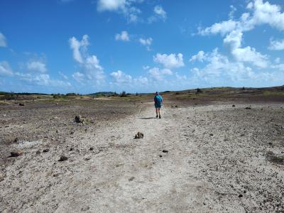 Jour 6 - La savane des Pétrifications