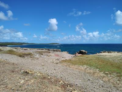 Jour 6 - La savane des Pétrifications