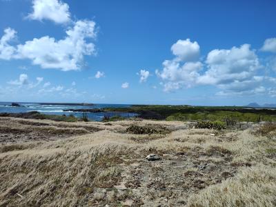 Jour 6 - La savane des Pétrifications