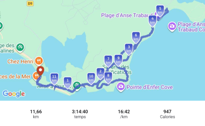 Jour 6 - La savane des Pétrifications