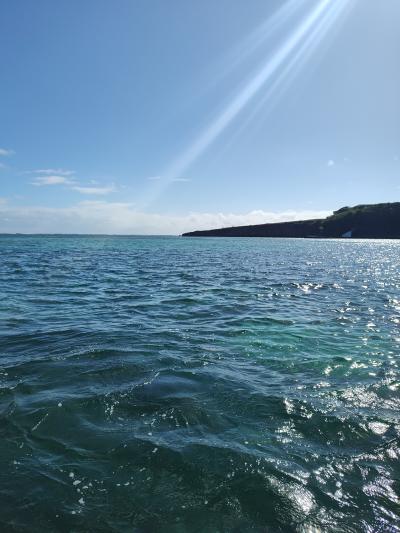 Jour 7 - Sortie en bateau