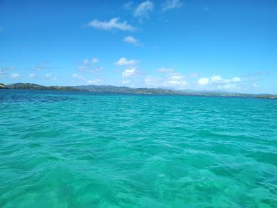 Jour 7 - Sortie en bateau