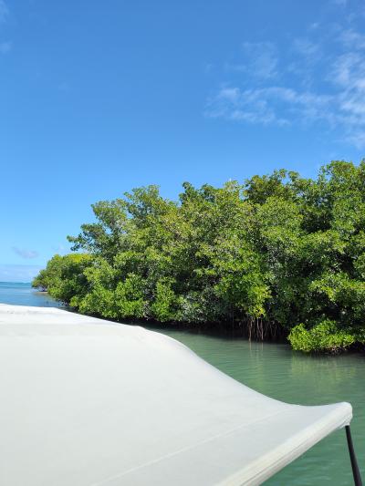 Jour 7 - Sortie en bateau