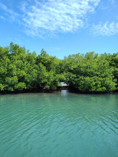 Jour 7 - Sortie en bateau