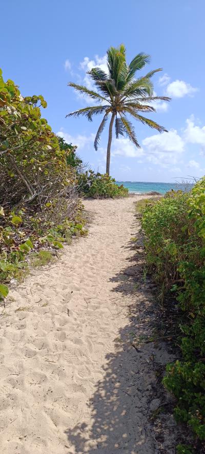 Jour 6 - La savane des Pétrifications