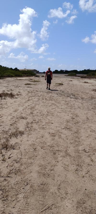 Jour 6 - La savane des Pétrifications