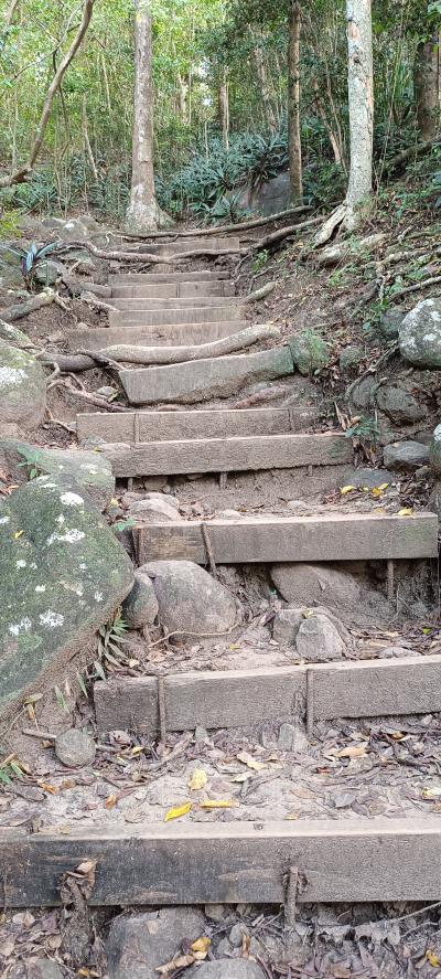 Jour 6 - Ascension du piton crève coeur