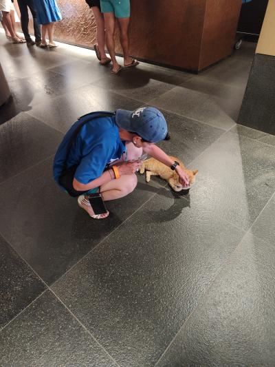 Jour 7 - Distillerie Clément