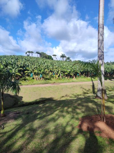 Jour 7 - Distillerie Clément