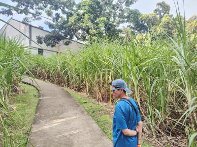 Jour 7 - Distillerie Clément