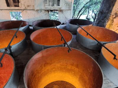 Jour 7 - Distillerie Clément