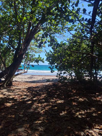 Jour 8 - Plage et balade côtière