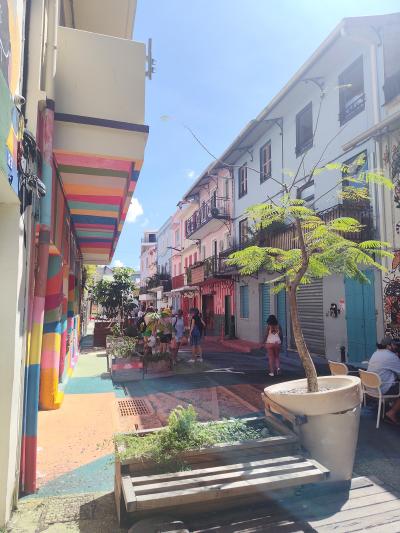 Jour 9 - Fort de france et retour